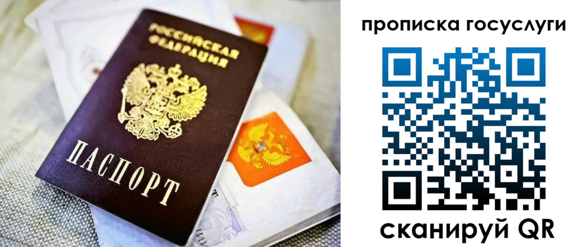 прописка гарантия в Самаре